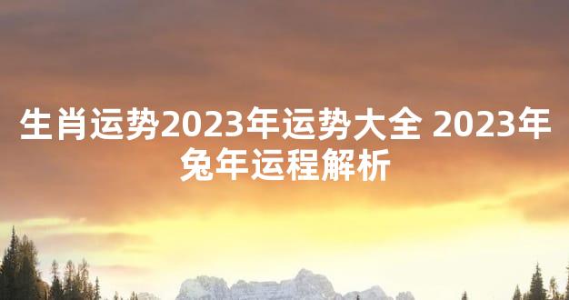 生肖运势2023年运势大全 2023年兔年运程解析